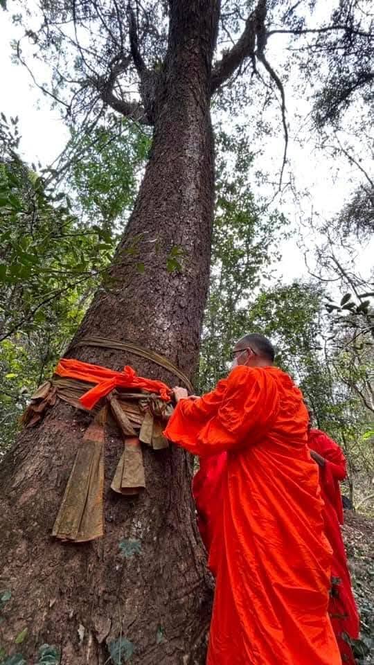 พระเมธีวชิรคุณ : พระนักการศึกษา ผู้สร้างคน และผู้จุดประกายสังคมพะเยา 641489991 3309633582538675 2224989571131016817 N